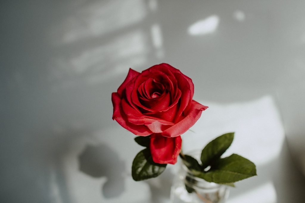 Sick of Being Single?