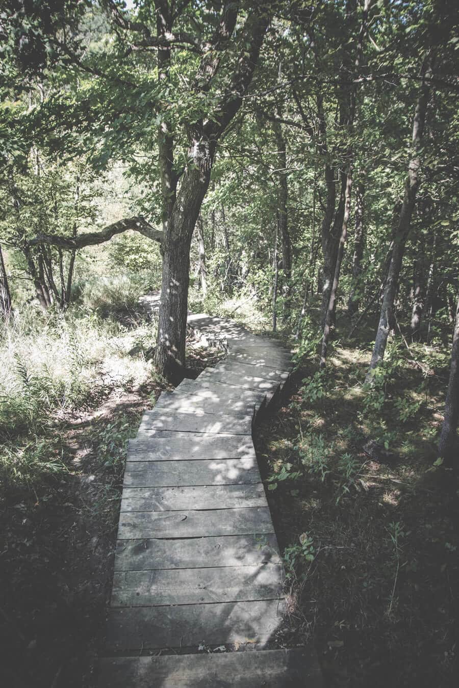 EMDR Therapy - Seattle EMDR Therapist