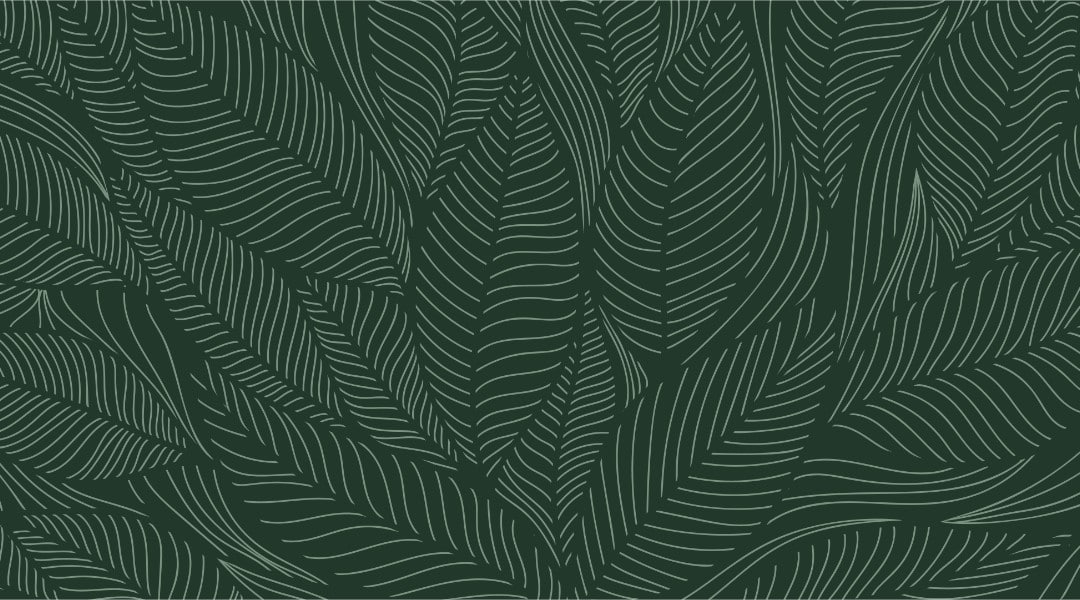 tropical leaf bg